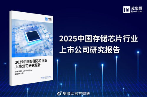 2025中國存儲(chǔ)芯片行業(yè)上市公司研究報(bào)告 技術(shù)演進(jìn)、市場格局與投資機(jī)遇
